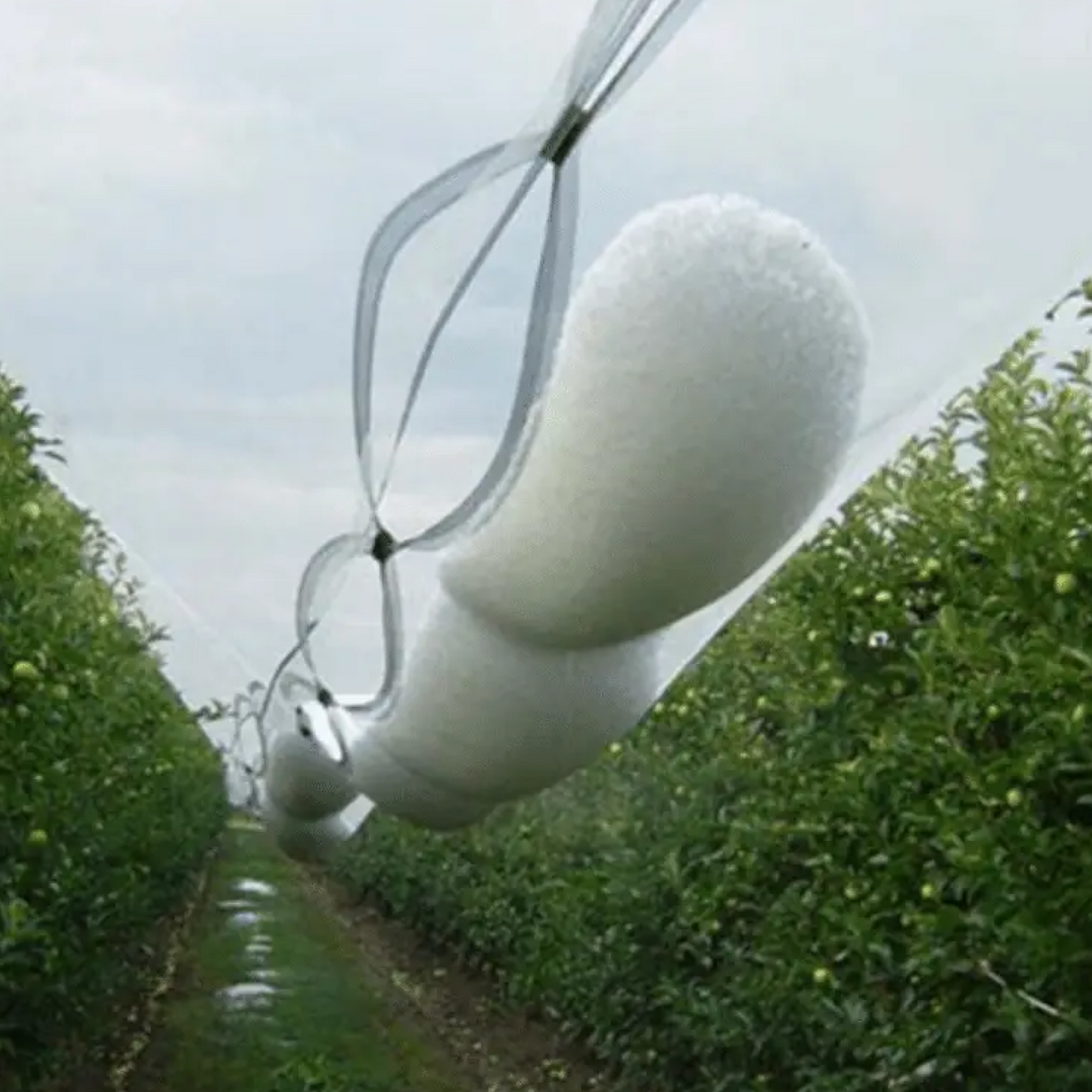 Wholesale Custom Hail Net Cover