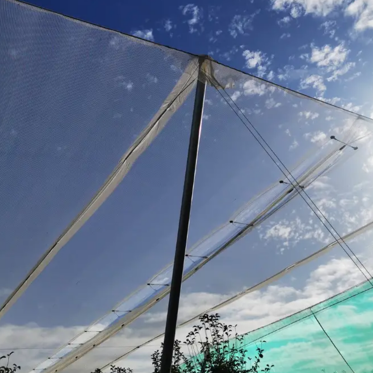 Wholesale Custom Hail Net Cover