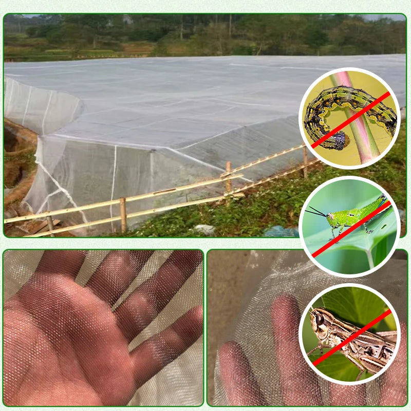 Garden Plant Insect Netting Vegetable, Flower and Fruit Care Cover Netting Pest Control Bird-proof 60 Mesh Protective Netting