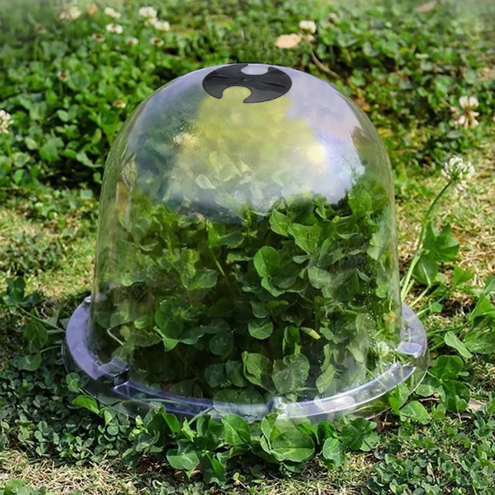 Wholesale Custom PVC Transparent Plant Protective Cover