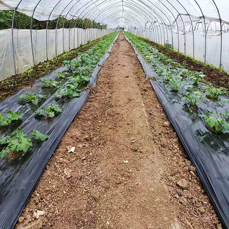Wholesale Customization Agricultural Weed Control Black Plastic Mulch