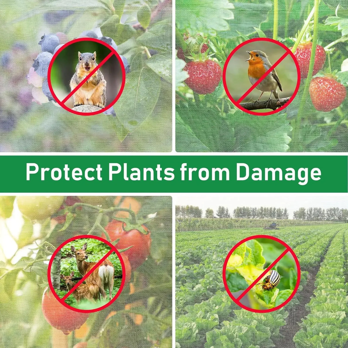 Garden Plant Insect Netting Vegetable, Flower and Fruit Care Cover Netting Pest Control Bird-proof 60 Mesh Protective Netting