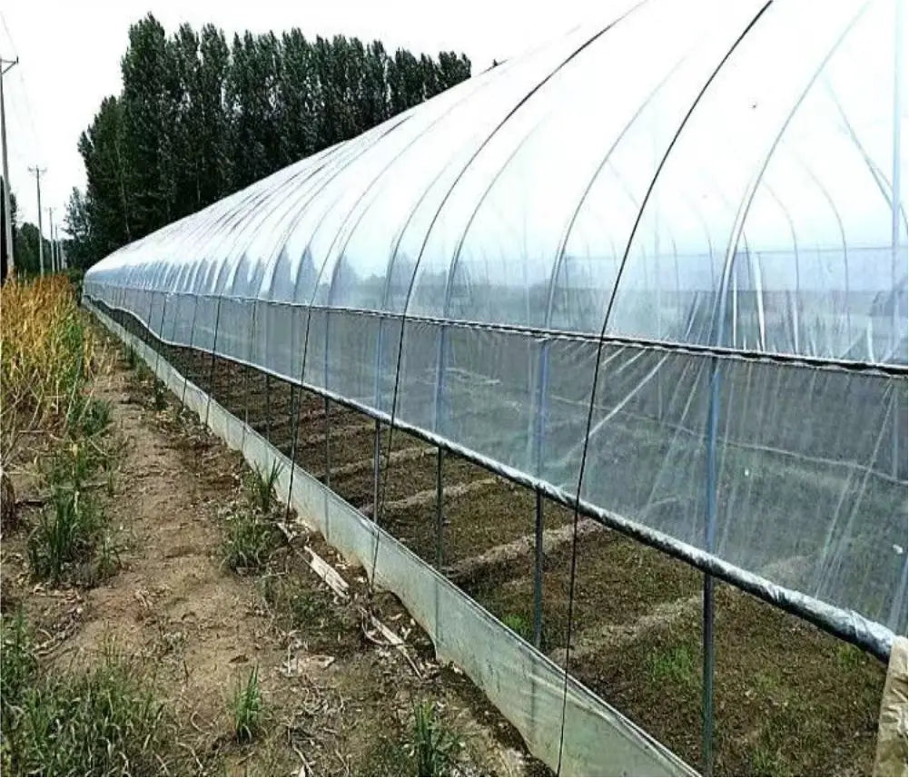 Wholesale Custom PE Farm Greenhouse Plastic Film