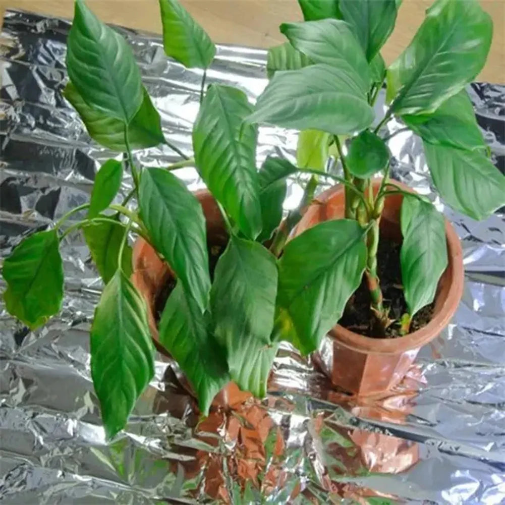 Wholesale Custom Outdoor Plant Reflective Silver Foil Sheets