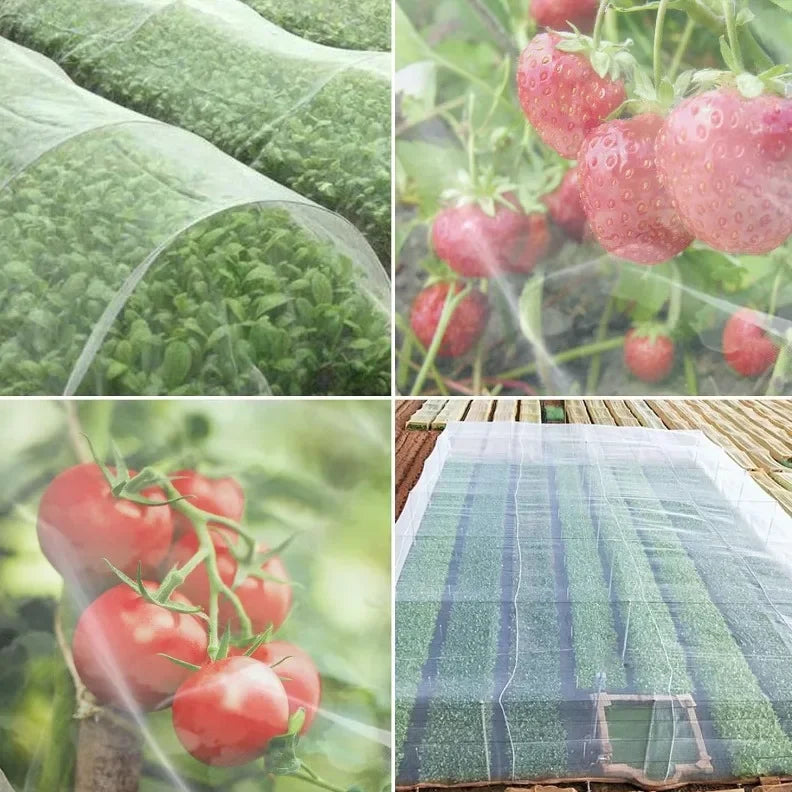 Garden Plant Insect Netting Vegetable, Flower and Fruit Care Cover Netting Pest Control Bird-proof 60 Mesh Protective Netting