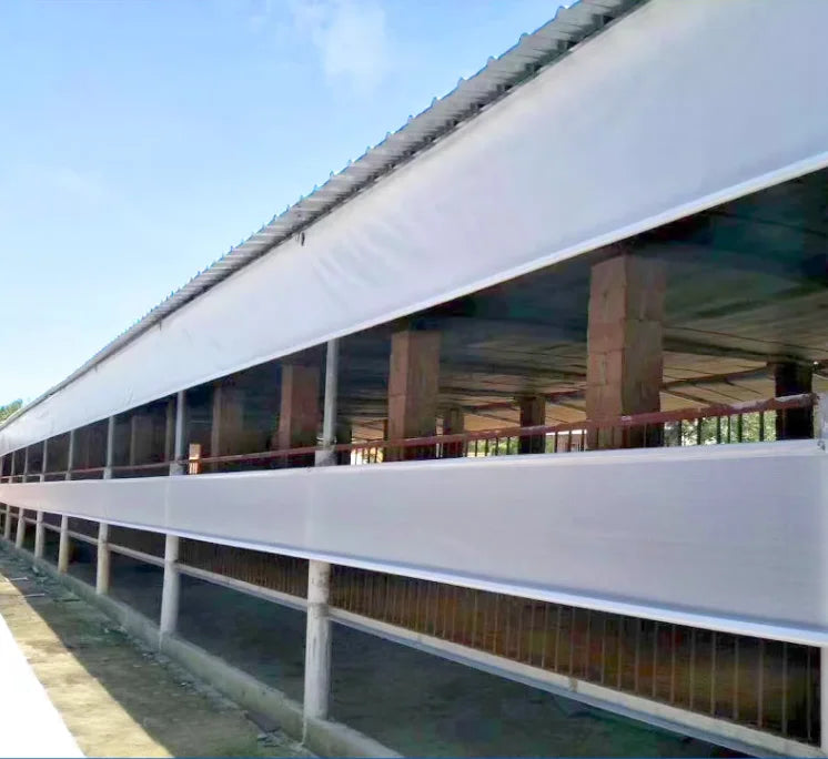 Wholesale Custom PVC Transparent Porch Waterproof Fabric