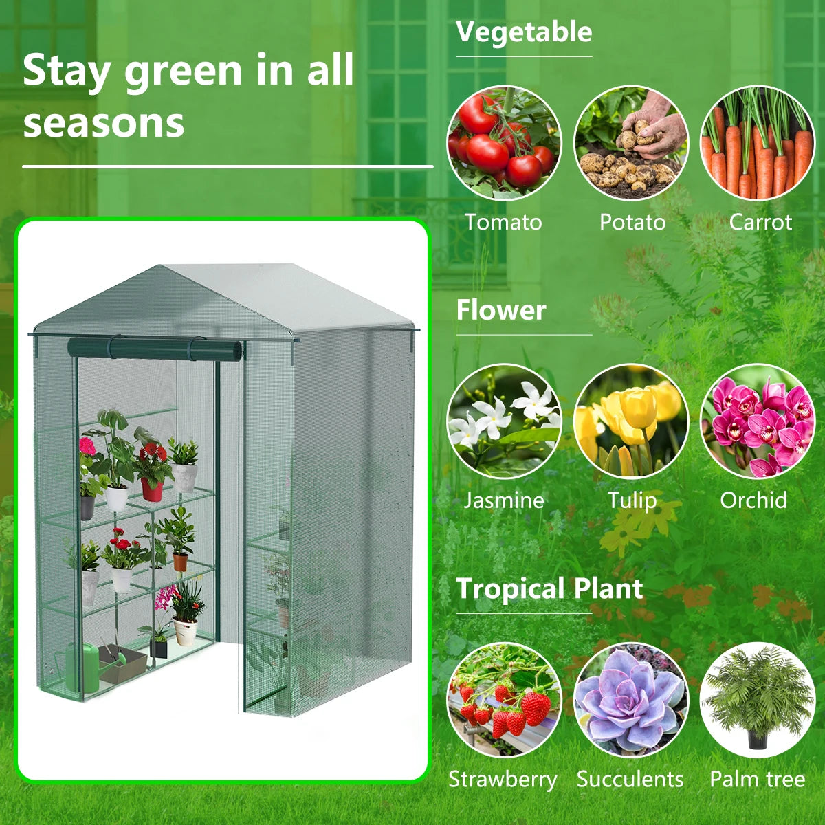 Wholesale Custom PVC Garden Plant Shelter for Warmth and Wind Protection