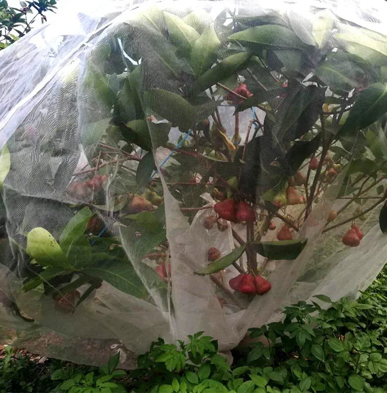 Garden Plant Insect Netting Vegetable, Flower and Fruit Care Cover Netting Pest Control Bird-proof 60 Mesh Protective Netting