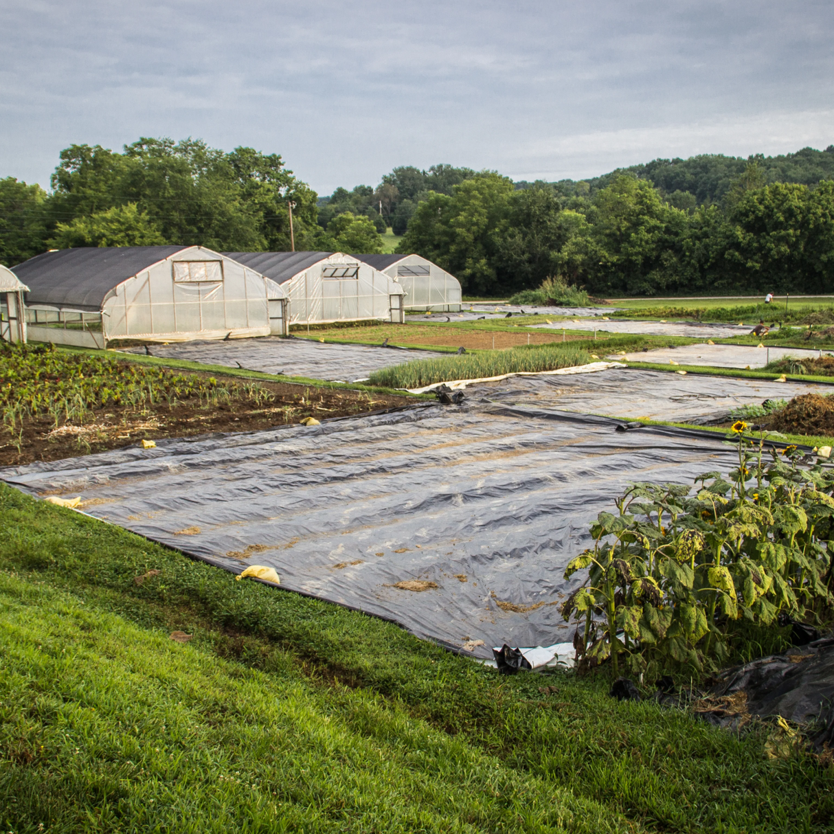 Wholesale Custom PVC Silage Tarps