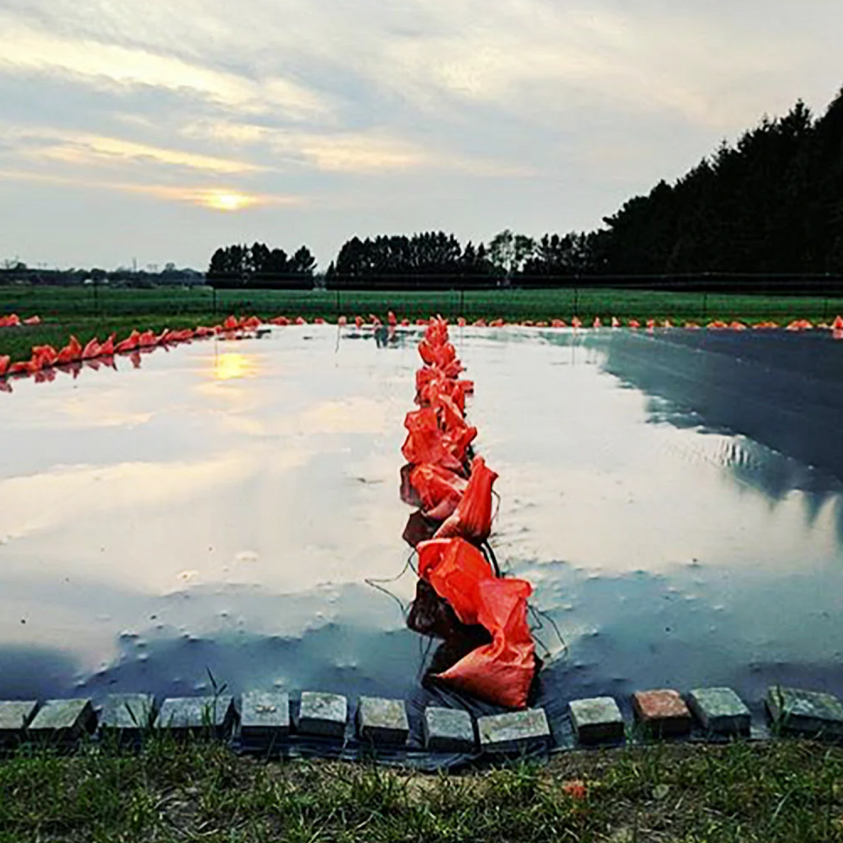 Wholesale Custom Silage Tarpaulin