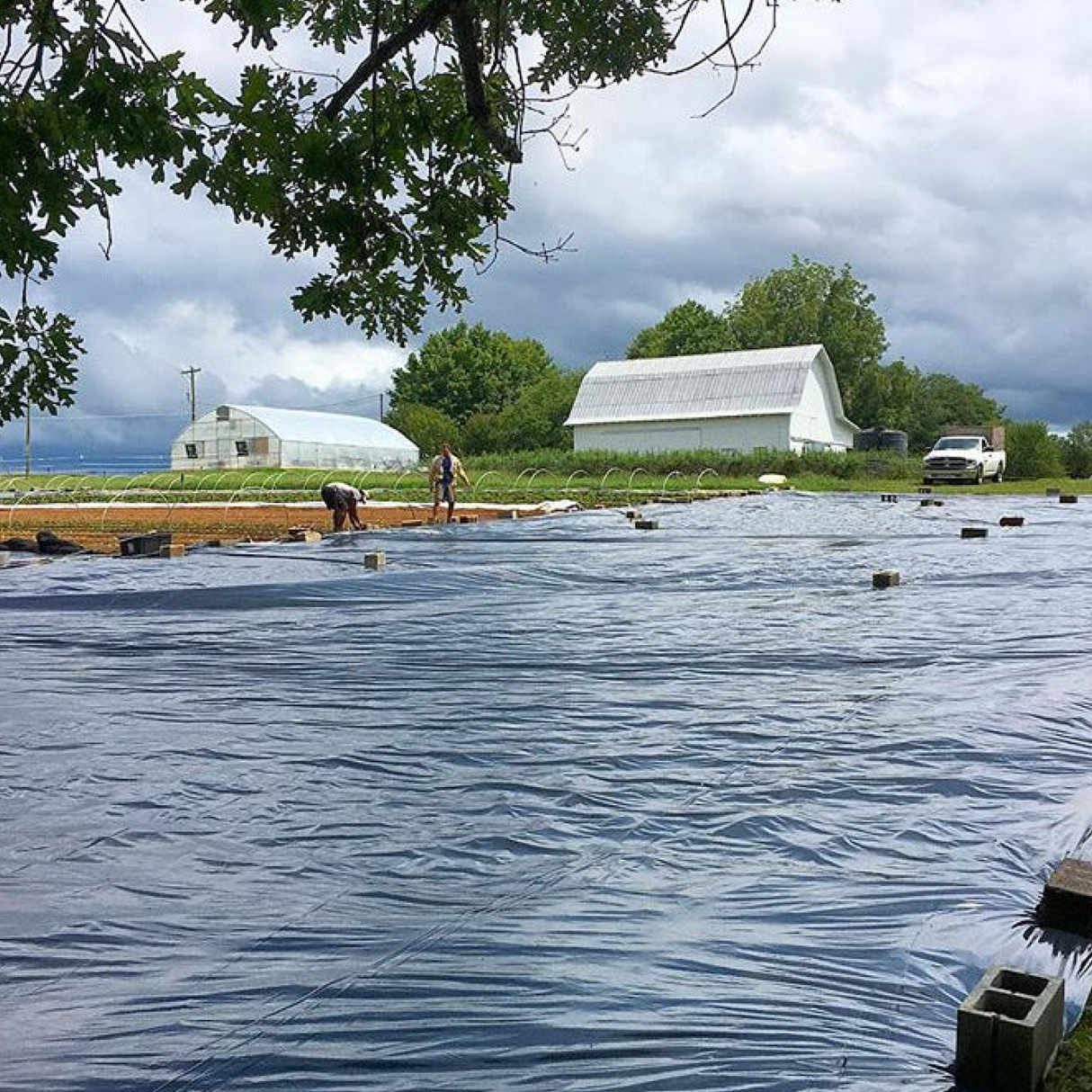 Wholesale Custom Silage Tarpaulin