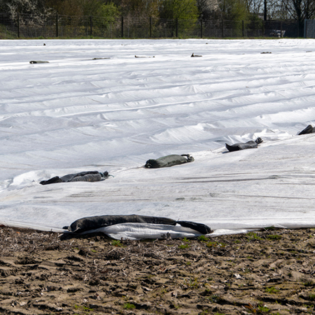 Wholesale Custom PVC Silage Tarps