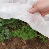 Wholesale Custom Plant Insulated Winter Tarp
