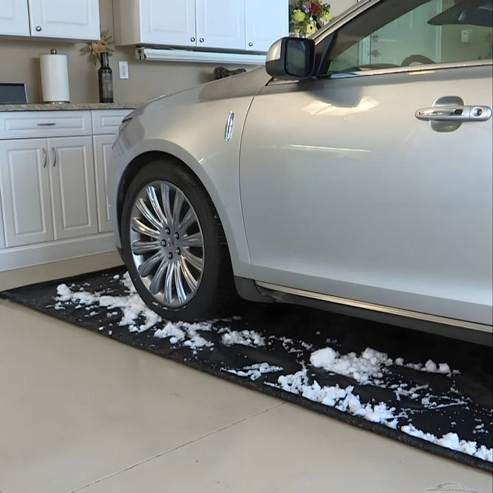 Snow Guard