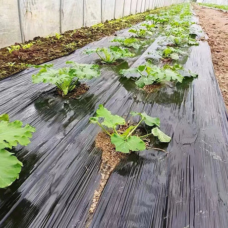 Wholesale Customization Agricultural Weed Control Black Plastic Mulch