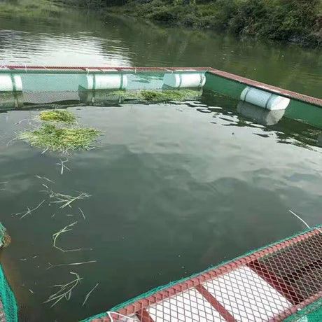 Wholesale Customized 1 cm Mesh Fishing Net Agricultural Protection Net