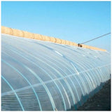 Wholesale Custom PE Farm Greenhouse Plastic Film
