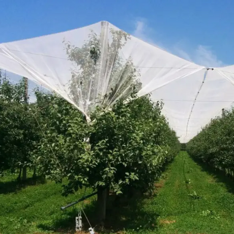 Wholesale Custom Hail Net Cover