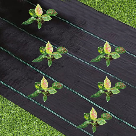 Wholesale Custom Black PE Weed Control Fabric