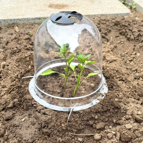 Wholesale Custom PVC Transparent Plant Protective Cover