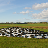 Wholesale Custom PVC Silage Tarps